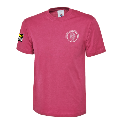 Merlod Y Carneddau Ponies - *Unisex* *Deluxe*  Hot Pink Round Neck T-Shirt