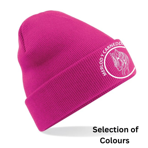 Merlod Y Carneddau Ponies - Beanie (Selection of Colours)