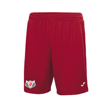 Holywell Town FC - Home Replica Shorts